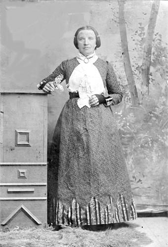Sarah Ellen Broadbridge (1835 - 1930) Profile